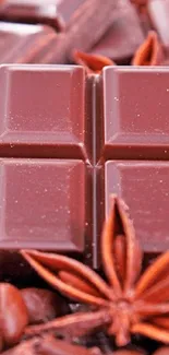 Close-up of a rich chocolate bar with star anise and cocoa beans.