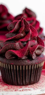 Vibrant chocolate cupcake with raspberry frosting.
