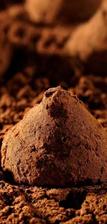 Close-up of a chocolate truffle on textured cocoa background.