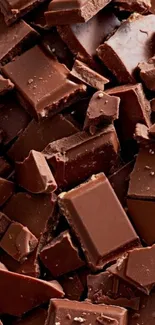 Chunks of rich, dark chocolate pieces scattered stylishly.