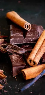 Dark chocolate with cinnamon sticks and spices.