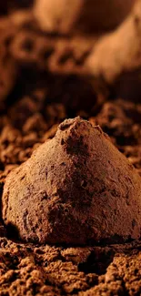 Decadent chocolate truffle on cocoa background.