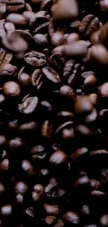 Close-up of dark roasted coffee beans for mobile wallpaper.