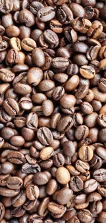 Brown roasted coffee beans close-up for mobile wallpaper.