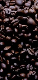 Rich dark brown coffee beans in close-up view.