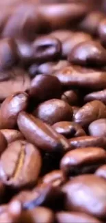 Close-up of coffee beans with rich brown texture for mobile wallpaper.