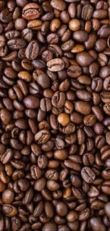 A rich and textured display of brown coffee beans.