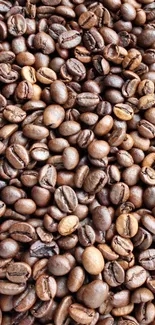 A close-up view of roasted coffee beans in rich brown hues.