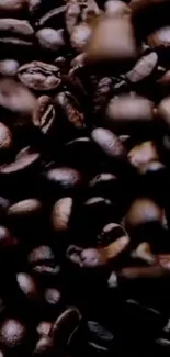 Close-up of rich roasted coffee beans.