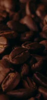 Dark brown coffee beans close-up wallpaper.