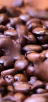 Close-up of coffee beans for mobile wallpaper.