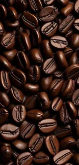 A close-up of roasted coffee beans, creating a rich textured background.