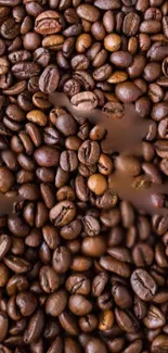 Close-up of rich, brown coffee beans in a texture-filled wallpaper.