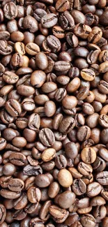 Close-up of rich, roasted coffee beans, showcasing warm brown tones.