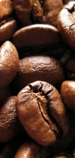 Close-up of rich brown coffee beans creating a textured mobile wallpaper.