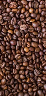 Close-up of rich coffee beans texture.