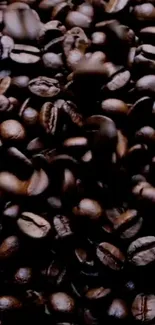 Close-up of rich, dark roasted coffee beans filling the screen.