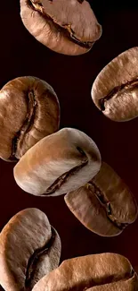 Close-up image of roasted coffee beans.