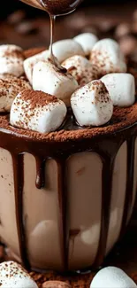 Cup of hot chocolate with marshmallows and cocoa.