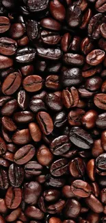 Dark brown roasted coffee beans wallpaper, rich in texture.