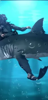 Rider on a great shark in aqua blue underwater