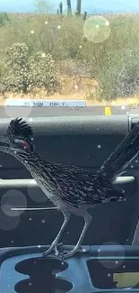 Roadrunner perched inside car against desert backdrop.