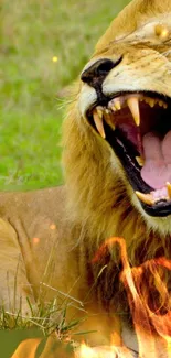 Roar Felidae Fang Live Wallpaper