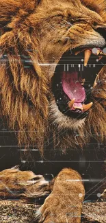 Roaring lion digital art wallpaper, dynamic and powerful.