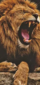 Roaring lion with a golden mane against a dark background.