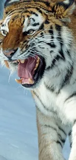 Roaring tiger in the snow mobile wallpaper image.