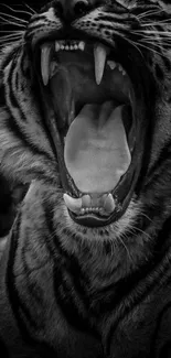 Black and white roaring tiger wallpaper.