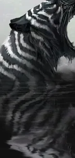 Roaring zebra with water reflection in an artistic nature scene.