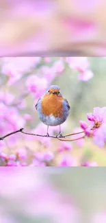 A robin perched on a branch with pink blossoms in the background.