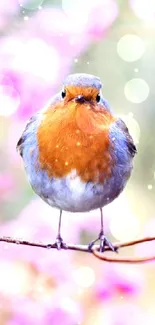 Vibrant robin amidst pink blossoms on a branch.