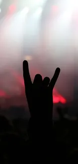 Silhouette of crowd at a vibrant concert with colorful stage lighting.