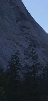 Rocky mountainside with pine trees under blue sky.