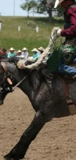 Cowboy riding a horse in a rodeo event.