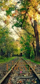 Romantic railway path through autumn forest.