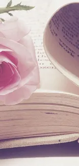 Pink rose on open book romantic wallpaper.