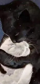 Two cats cuddling under a starry night sky, creating a romantic phone wallpaper.