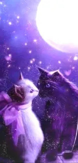 Romantic cats under a glowing moon in a purple starry background.