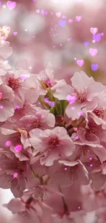 Cherry blossoms with pink hearts on a mobile wallpaper.