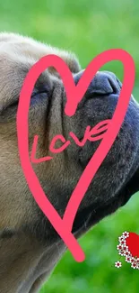 Adorable dog with a pink heart and love message on green background.