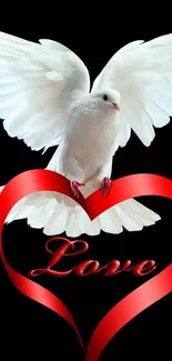 White dove with red heart on black background mobile wallpaper.