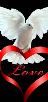 White dove with red heart on black background wallpaper.