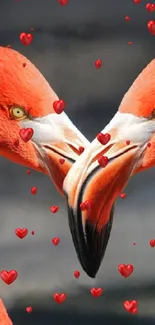 Two flamingos forming a heart with their necks.