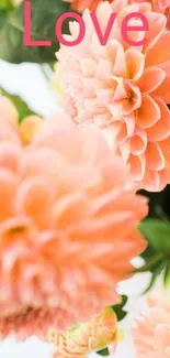 Peach dahlia flowers with love text on mobile wallpaper.