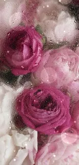 Delicate pink roses with dew make a romantic phone wallpaper.