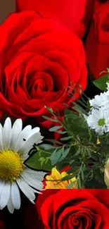 Vibrant wallpaper of red roses and white daisies for mobile display.