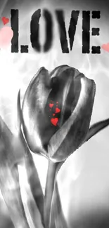 Black and white tulip with red hearts and love text, creating a romantic scene.